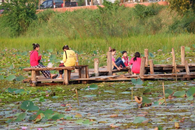 ชวนเที่ยว เช็คอินสะพานไม้ 180 ก้าวกลางหนองบัว