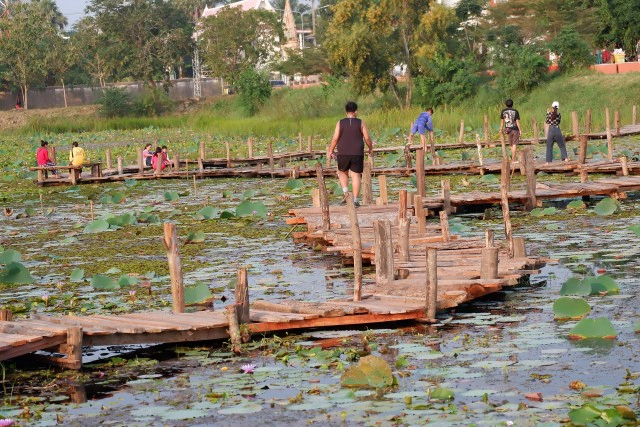 ชวนเที่ยว เช็คอินสะพานไม้ 180 ก้าวกลางหนองบัว