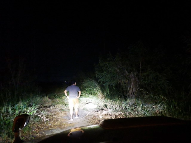 โซเชียลระอุ! กู้ภัยจับ แมวอเมริกันช็อตแฮร์ ปล่อยป่าข้างถนน เจ้าของโวยทำไมถึงไม่รอ!