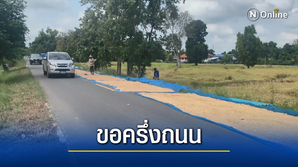 เกษตรกรวอนขอพื้นที่ครึ่งถนนตากข้าว 1 เดือน
