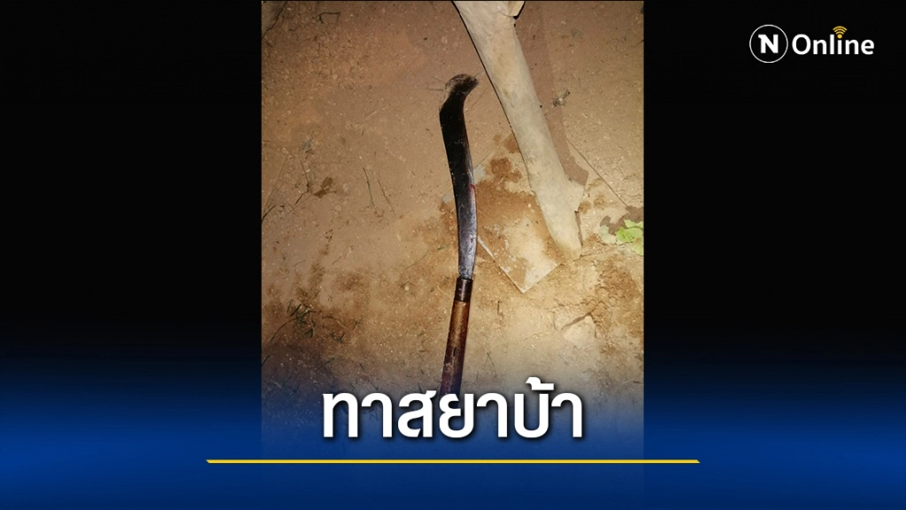 ลูกชายทาสยาบ้า-ฟันพ่อดับคาบ้าน