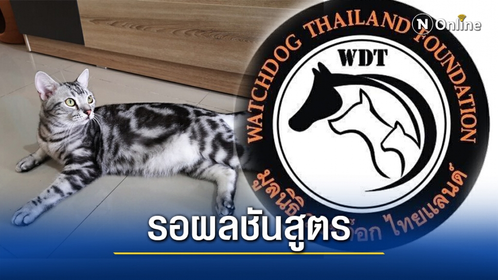 มูลนิธิวอชด็อก ไทยแลนด์ ชี้กู้ภัยฯนำ เจ้าสัว ไปปล่อย เข้าข่ายทารุณกรรมสัตว์