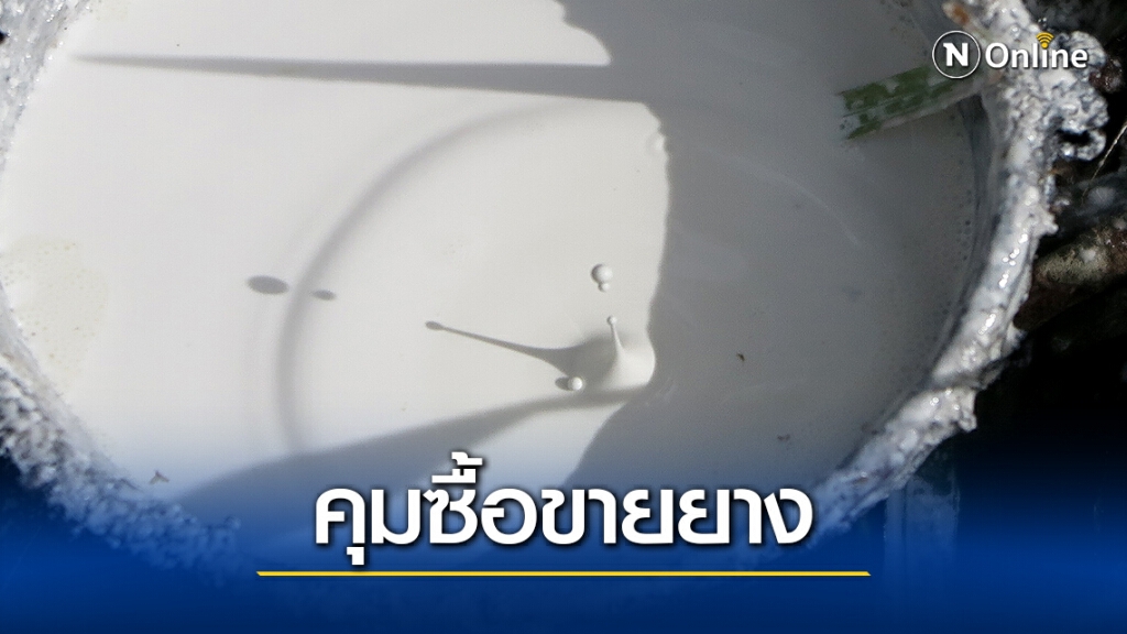 เกษตร-พาณิชย์  คลอดมาตรการรับมือราคายางผันผวน