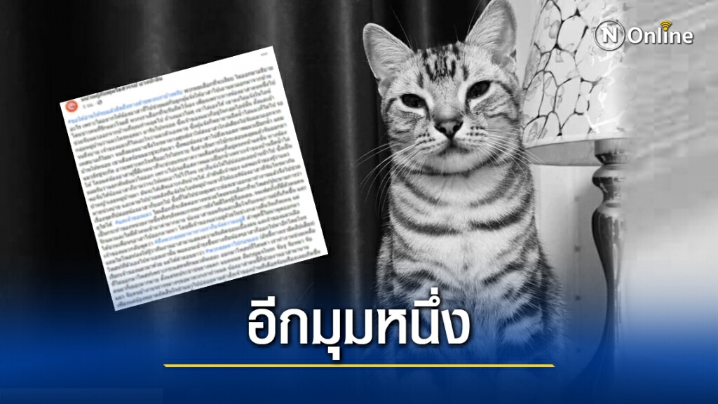 เปิดใจกู้ภัย ! หลังโดนทัวร์ลง ทำ "เจ้าสัว" แมวเหมียวสิ้นลม เปิดใจกู้ภัย ! หลังโดนทัวร์ลง ทำ "เจ้าสัว" แมวเหมียวสิ้นลม