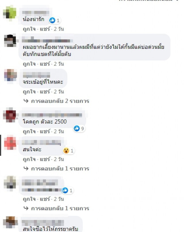 ชาวเน็ตฮือฮา!! หนุ่มโพสต์ประกาศขายจระเข้ 12 ตัว 3 หมื่นบาท