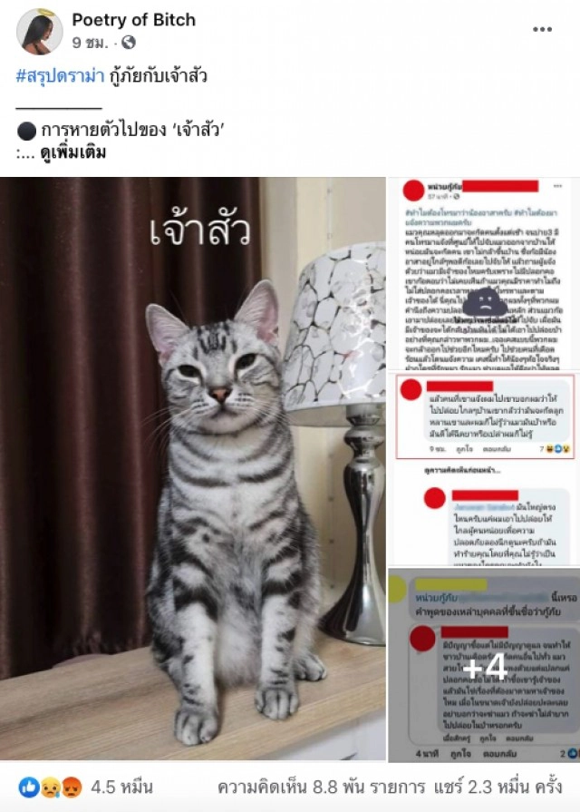 ไทม์ไลน์! กู้ภัยจับแมวปล่อยป่า เจ้าของใจสลาย พบเจ้าเหมียวสิ้นใจ