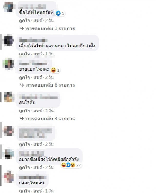 ชาวเน็ตฮือฮา!! หนุ่มโพสต์ประกาศขายจระเข้ 12 ตัว 3 หมื่นบาท