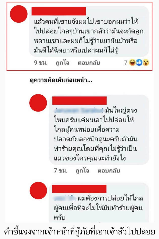 ไทม์ไลน์! กู้ภัยจับแมวปล่อยป่า เจ้าของใจสลาย พบเจ้าเหมียวสิ้นใจ