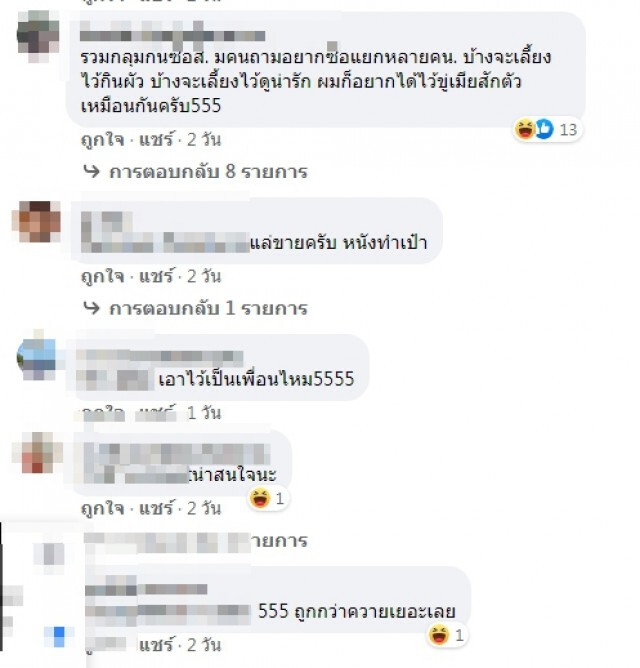ชาวเน็ตฮือฮา!! หนุ่มโพสต์ประกาศขายจระเข้ 12 ตัว 3 หมื่นบาท