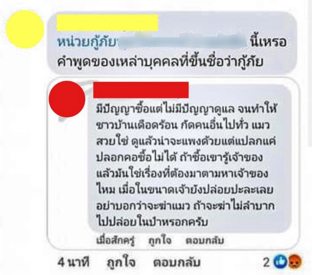 ไทม์ไลน์! กู้ภัยจับแมวปล่อยป่า เจ้าของใจสลาย พบเจ้าเหมียวสิ้นใจ