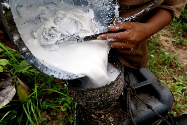 เกษตร-พาณิชย์  คลอดมาตรการรับมือราคายางผันผวน