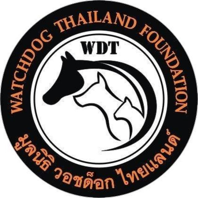 มูลนิธิวอชด็อก ไทยแลนด์ ชี้กู้ภัยฯนำ เจ้าสัว ไปปล่อย เข้าข่ายทารุณกรรมสัตว์