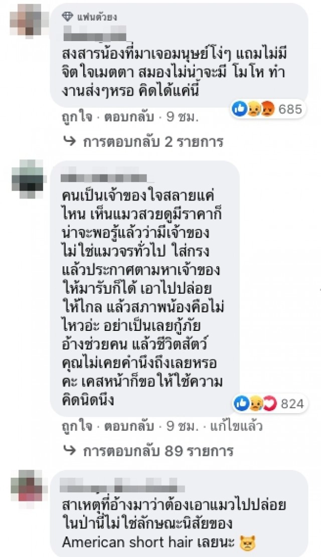 ไทม์ไลน์! กู้ภัยจับแมวปล่อยป่า เจ้าของใจสลาย พบเจ้าเหมียวสิ้นใจ