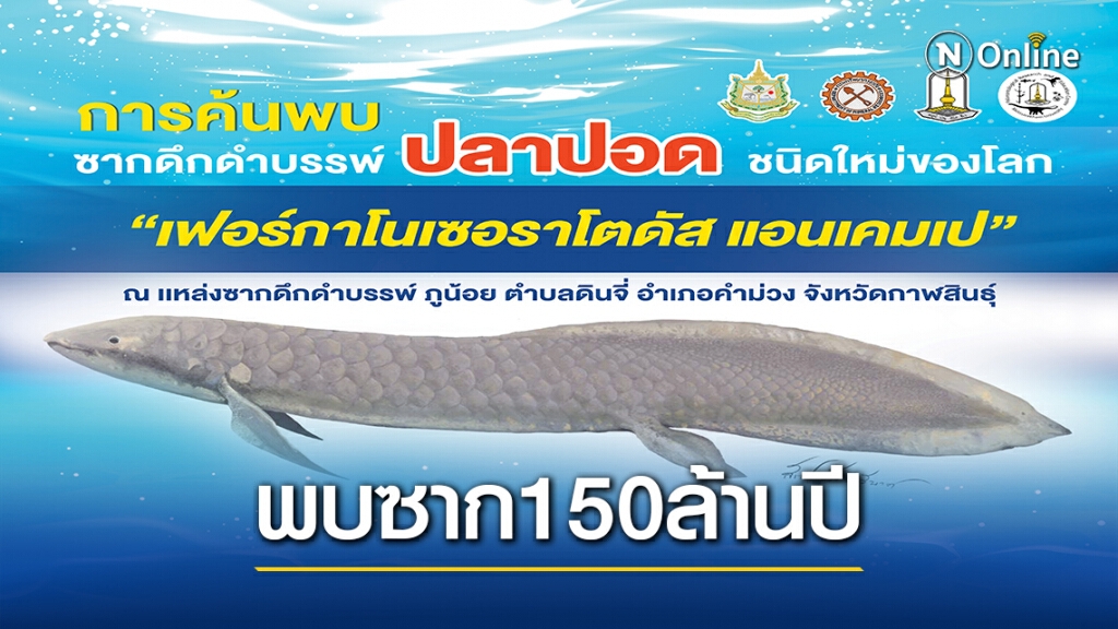 รมว.ทส.แถลง พบซากดึกดำบรรพ์ปลาปอดชนิดใหม่ –อายุ150ล้านปี