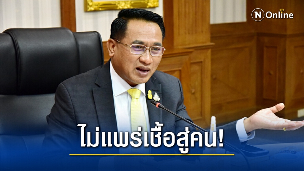 อธิบดีกรมปศุสัตว์ ยัน โรคระบาดหมูไม่แพร่สู่คน อธิบดีกรมปศุสัตว์ ยัน โรคระบาดหมูไม่แพร่สู่คน