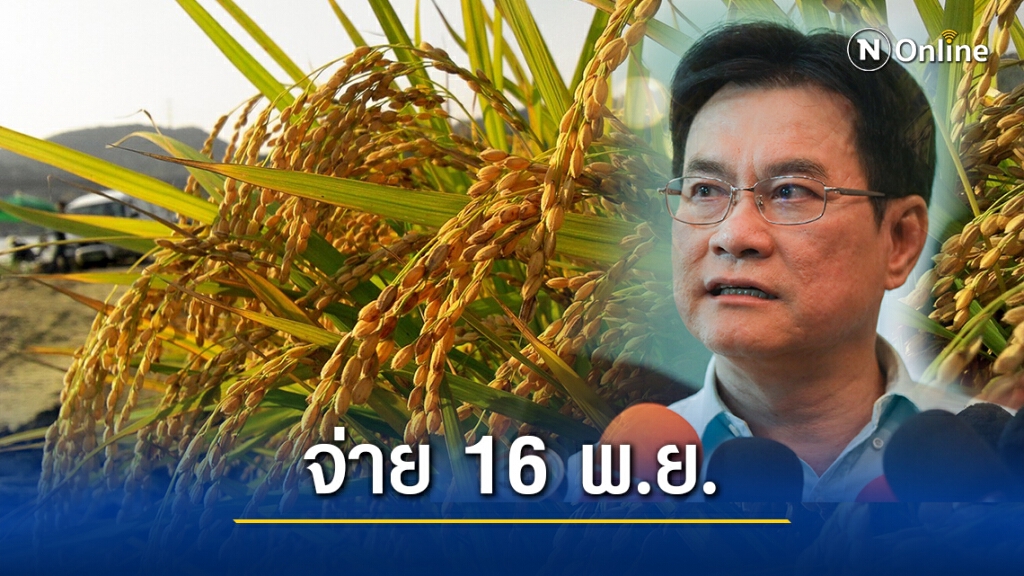 ชาวนาเฮ! "จุรินทร์" เผยเตรียมจ่ายส่วนต่างประกันรายได้ข้าว 16 พ.ย. นี้