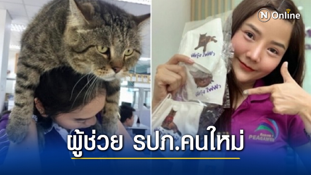 ฮือฮา!! การไฟฟ้าทุ่งเสลี่ยม แต่งตั้งแมวพี่คุ้ง เป็นผู้ช่วย รปภ. แฟนคลับตรึม
