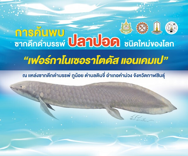 รมว.ทส.แถลง พบซากดึกดำบรรพ์ปลาปอดชนิดใหม่ –อายุ150ล้านปี