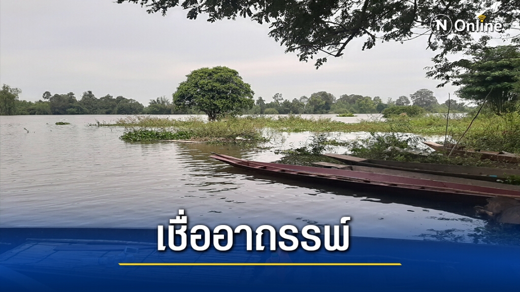 เหลือเชื่อหญิงสูงวัยออกไปเกี่ยวข้าว จนท.ค้นหา3วันปลอดภัยดี