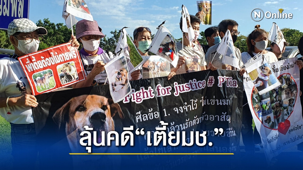 แฟนคลับ"เตี้ยมช."ลุ้นศาลรับฟ้องคดี