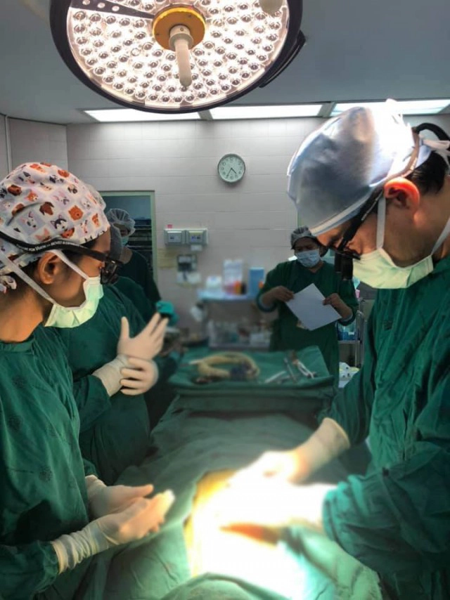 น้ำตาไหล! แม่ตัดสินใจ บริจาคหัวใจลูกชายที่เพิ่งเสียชีวิต ต่อลมหายใจให้ผู้อื่น