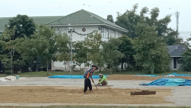 เห็นใจชาวนา อบต.-วัดเปิดพื้นที่ให้ตากข้าว