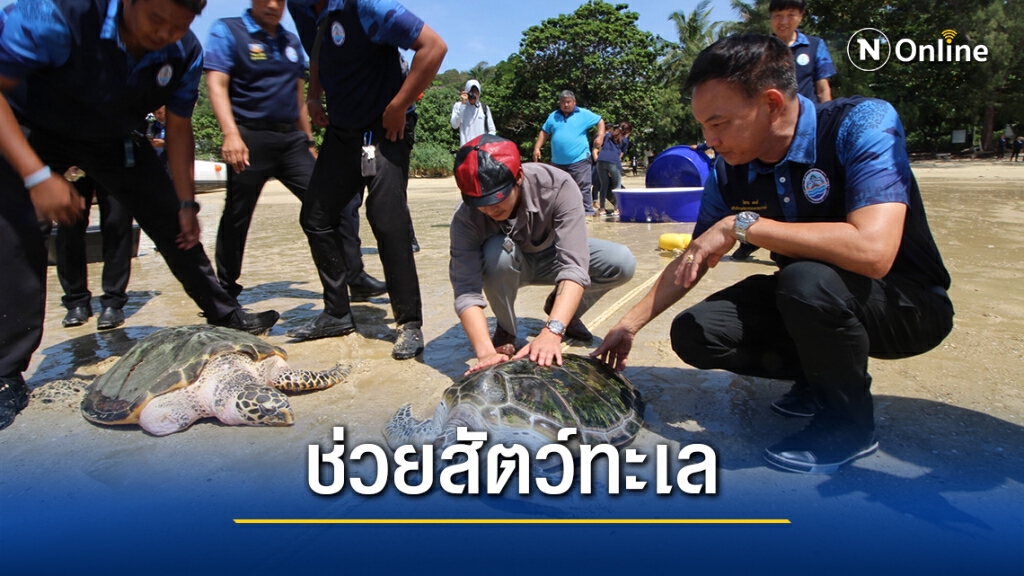 "กรมทะเล" รับมอบอุปกรณ์การแพทย์ช่วยสัตว์ทะเล