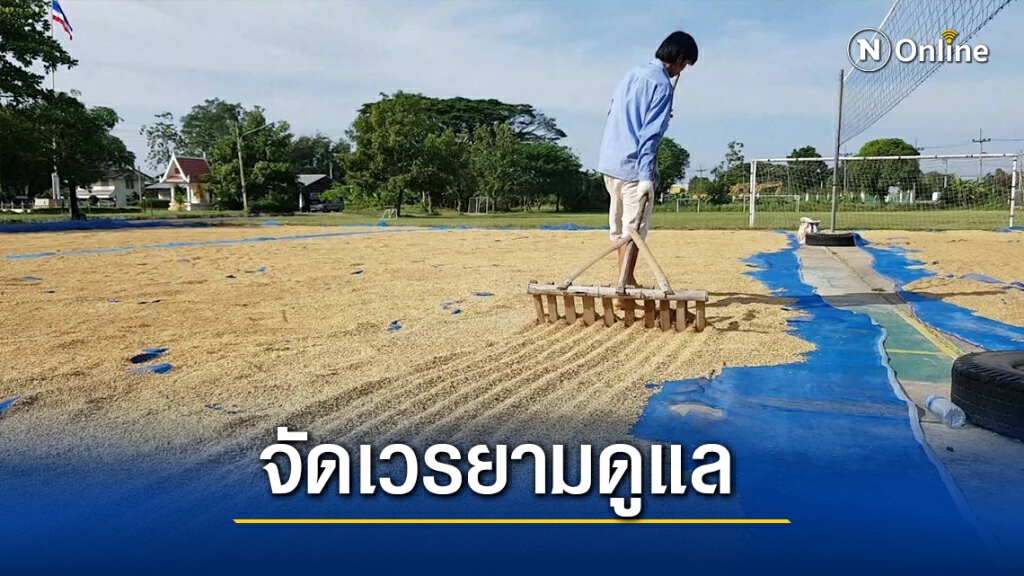 นอภ.โครราชร่อนหนังสือถึงอปท.หาที่ตากข้าว-จัดเวรยามให้ชาวนา