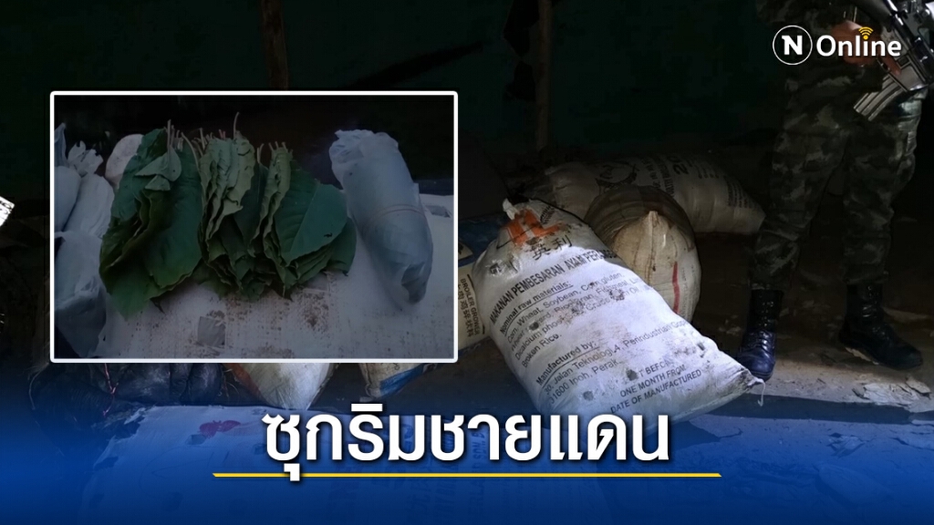 ยึดใบกระท่อมเกือบ 400 กก. ขนำริมรั้วชายแดนไทย-มาเลเซีย ยึดใบกระท่อมเกือบ 400 กก. ขนำริมรั้วชายแดนไทย-มาเลเซีย