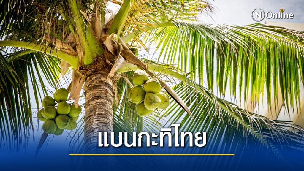 มาอีกราย! ซูเปอร์มาร์เก็ตสหรัฐเลิกขายกะทิชาวเกาะ