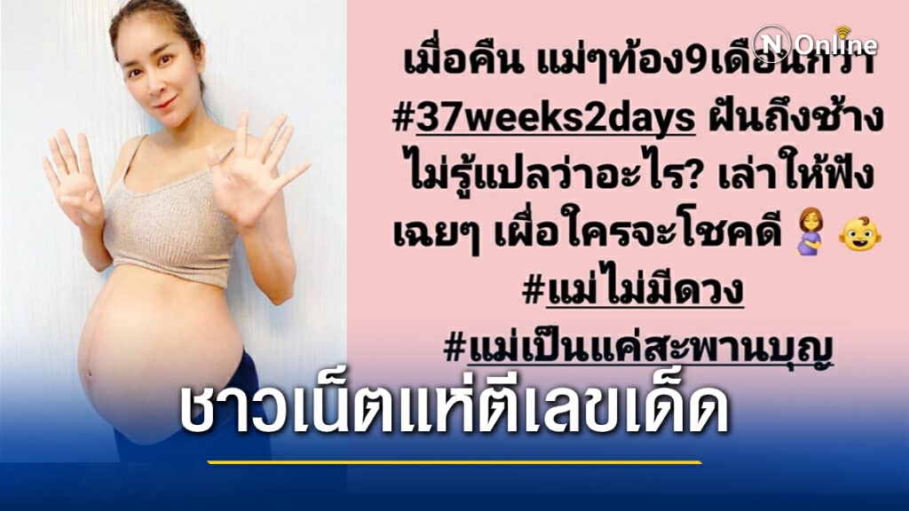 "ใหม่ สุคนธวา" ฝันเห็นช้างชาวเน็ตแห่ตีเลขเด็ด