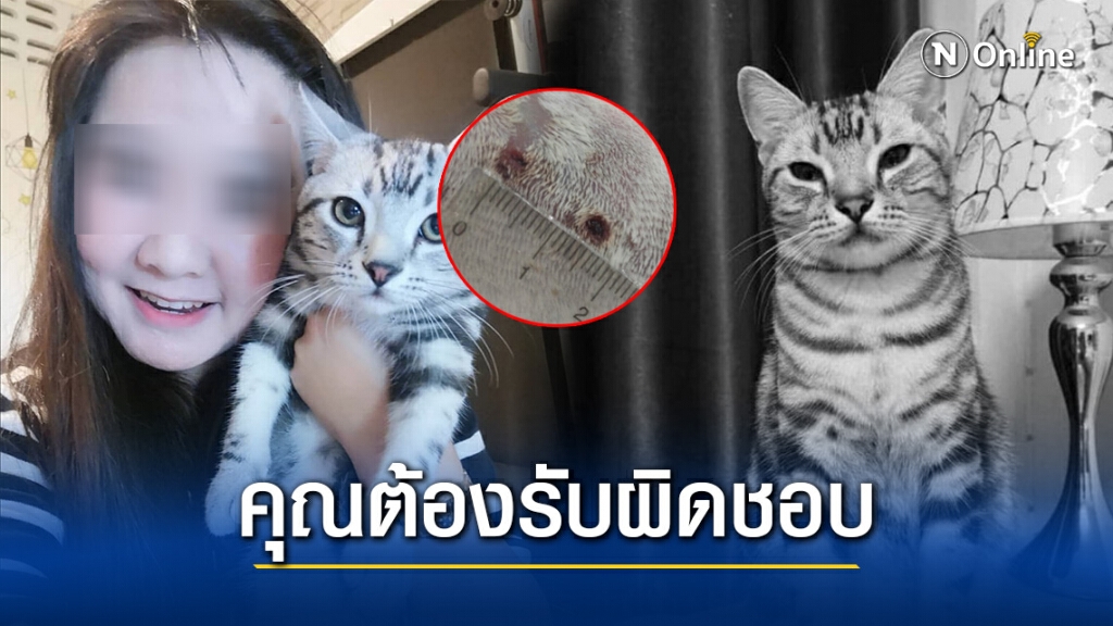 สาวเจ้าของ "เจ้าสัว" ลั่น! พวกคุณต้องรับผิดชอบ หลังรู้ผลชันสูตร สาวเจ้าของ "เจ้าสัว" ลั่น! พวกคุณต้องรับผิดชอบ หลังรู้ผลชันสูตร