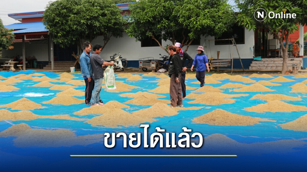 จบด้วยดี สกต.ยอมซื้อข้าวมะลิปนข้าวแดง