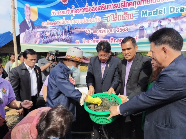 "คุณหญิงกัลยา" จับกุ้งสมาร์ทฟาร์ม ได้ผลดีเยี่ยม