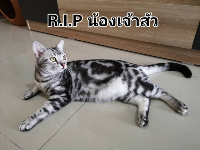 สาวเจ้าของ "เจ้าสัว" ลั่น! พวกคุณต้องรับผิดชอบ หลังรู้ผลชันสูตร
