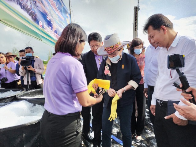 "คุณหญิงกัลยา" จับกุ้งสมาร์ทฟาร์ม ได้ผลดีเยี่ยม