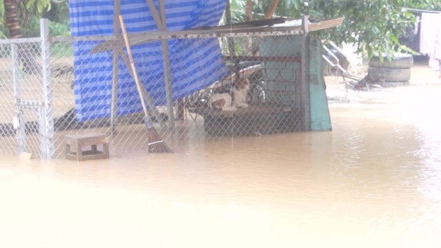 พายุ "หว่ามก๋อ" ทำชุมพรอ่วม เร่งเข้าช่วยเหลือ
