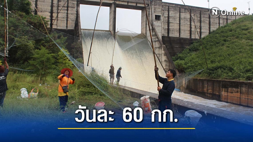 ชาวบ้านแห่หาปลา ใต้สปริลเวย์เขื่อนมูลบน หลังน้ำล้น สร้างรายได้เป็นกอบเป็นกำ ชาวบ้านแห่หาปลา ใต้สปริลเวย์เขื่อนมูลบน หลังน้ำล้น สร้างรายได้เป็นกอบเป็นกำ