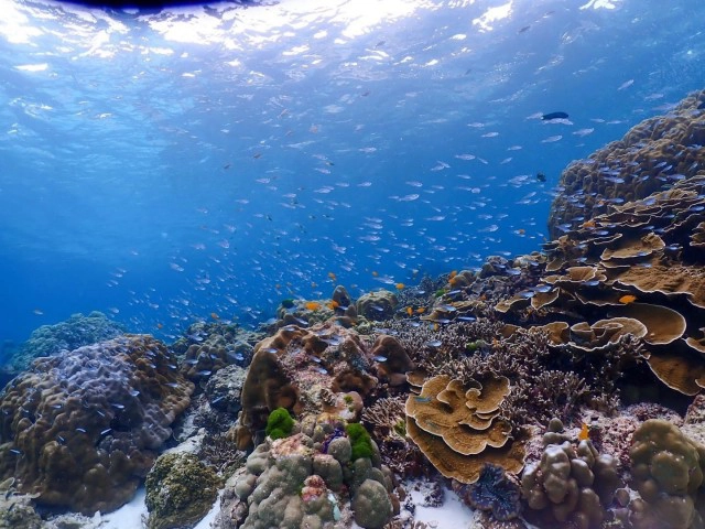 กดลาพักร้อนแล้วไปเที่ยว หมู่บ้านมอแกน ดำน้ำตื้นดูนีโม่ ชมหาดทรายขาวที่"หมู่เกาะสุรินทร์"