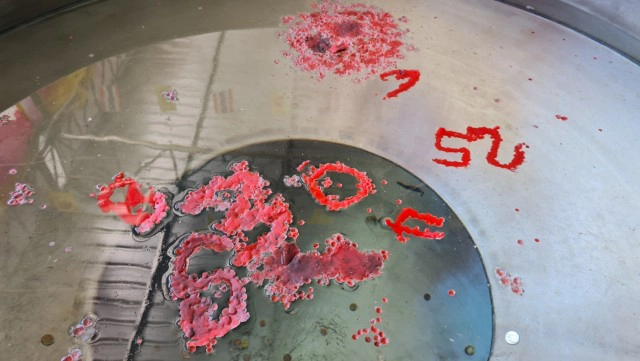 คอหวยแห่ส่องอ่างน้ำมนต์ ขอเลขเด็ดไอ้ไข่วัดดอนใหญ่