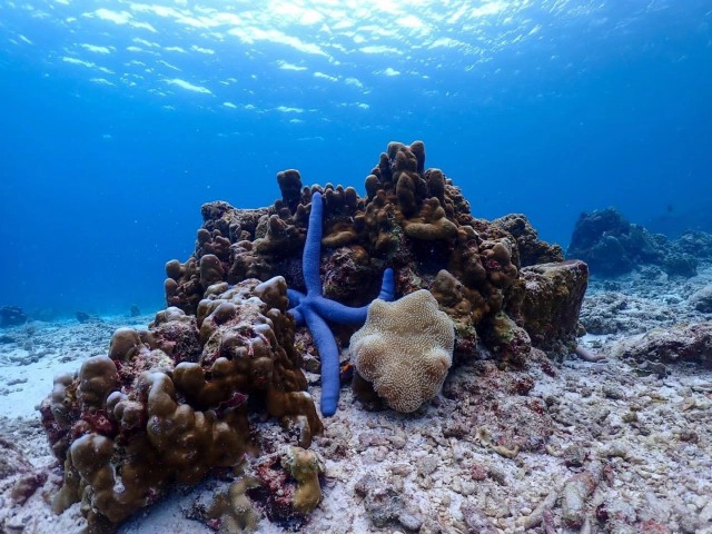 กดลาพักร้อนแล้วไปเที่ยว หมู่บ้านมอแกน ดำน้ำตื้นดูนีโม่ ชมหาดทรายขาวที่"หมู่เกาะสุรินทร์"