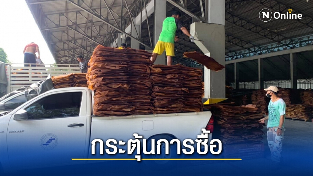 พาณิชย์จับมือการยางฯ เดินหน้ารักษาเสถียรภาพราคายาง