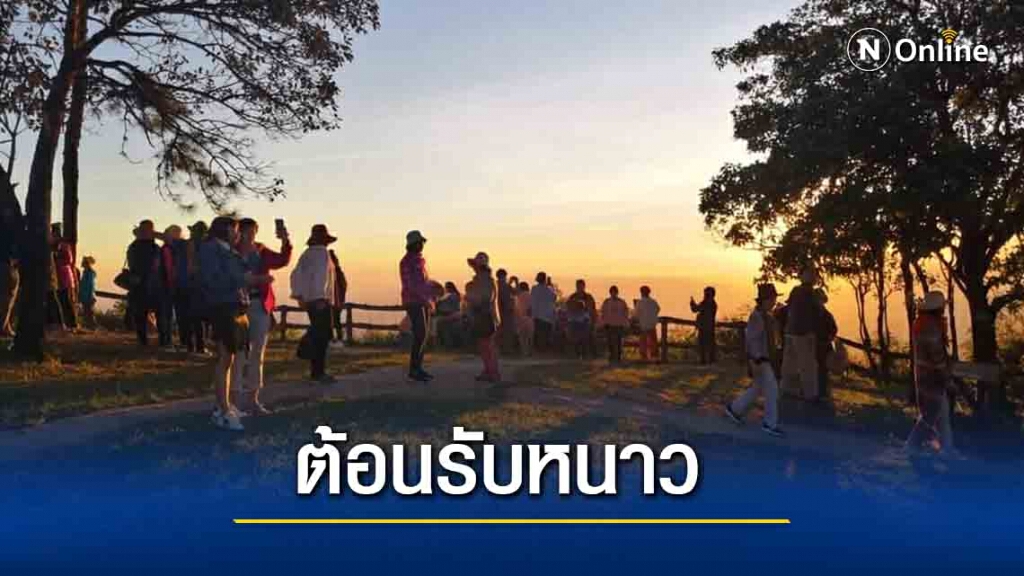 ภูเรือเตรียมเปิดเทศกาลต้นคริสต์มาสรับฤดูกาลท่องเที่ยว