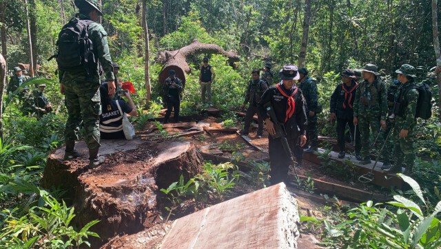เปิดขุมทรัพย์ เขตรักษาพันธุ์สัตว์ป่าห้วยศาลา ตะเคียนทอง 300 ปี