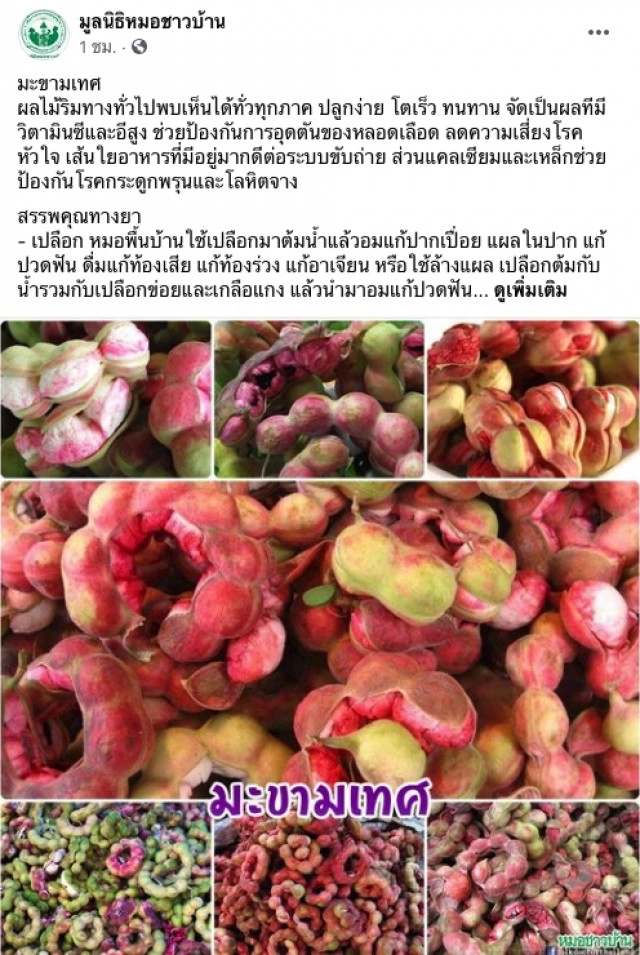 รู้หรือไม่? "มะขามเทศ" ช่วยลดความเสี่ยงโรคหัวใจ