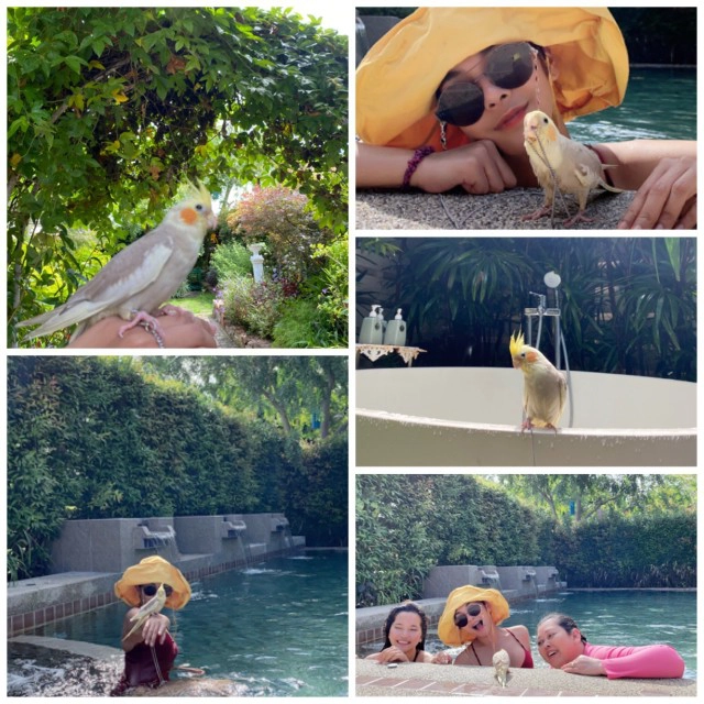 พาครอบครัวและสัตว์เลี้ยงแสนรักมาพักที่ บ้านเย็นใจ หัวหิน