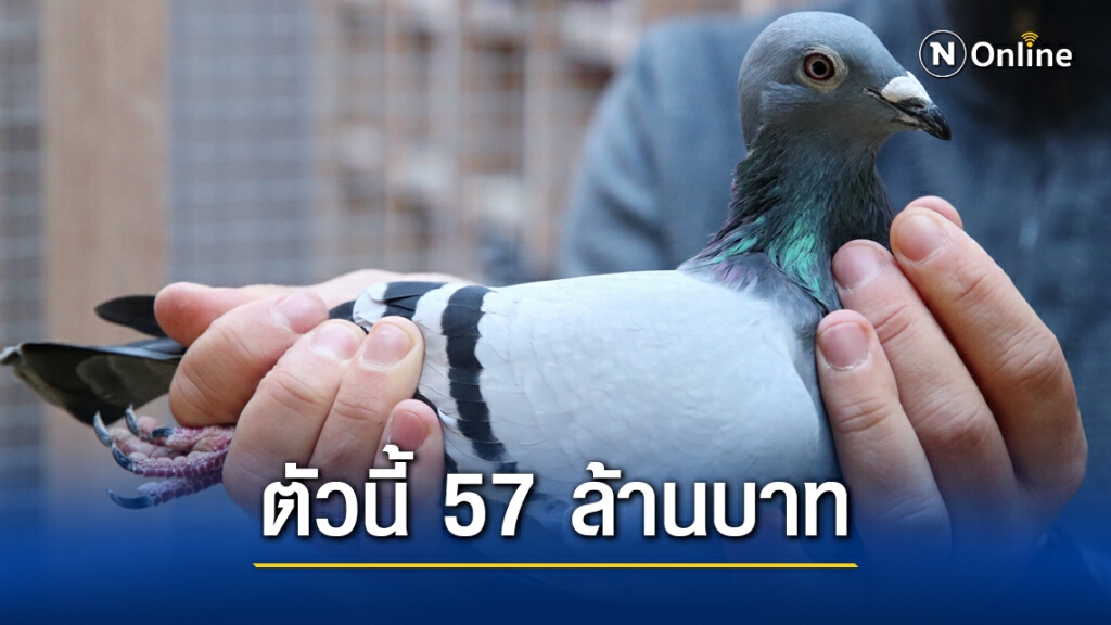 เศรษฐีจีนทุ่มซื้อนกตัวเดียว 57 ล้านบาท