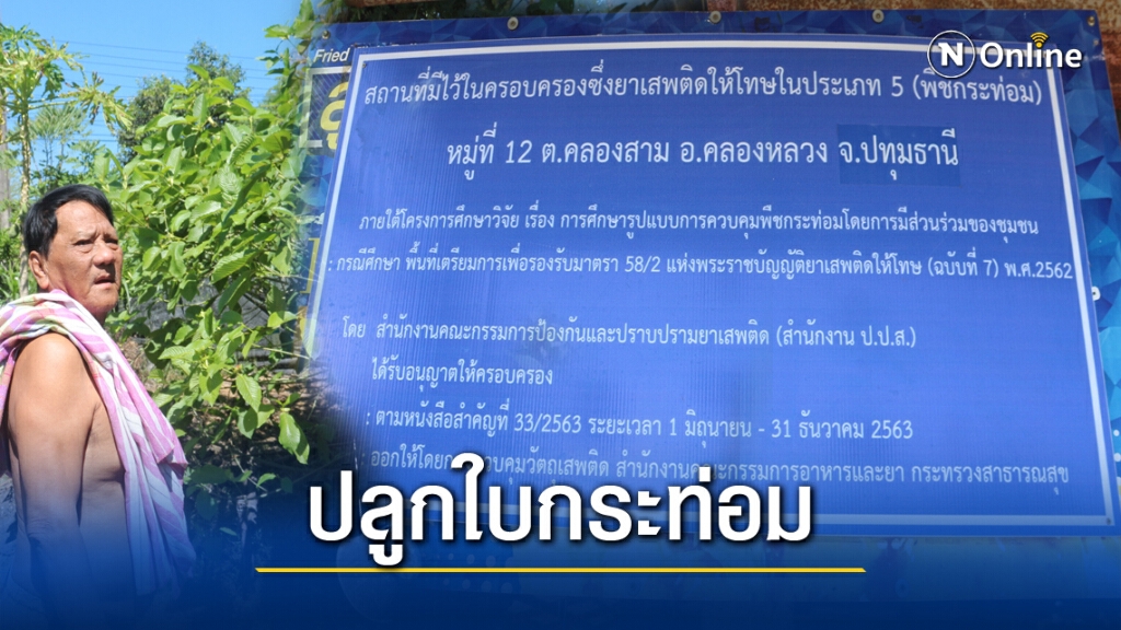ชาวบ้านดีใจมหาดไทยไฟเขียวนำร่องปลูกพืชกระท่อม ชาวบ้านดีใจมหาดไทยไฟเขียวนำร่องปลูกพืชกระท่อม