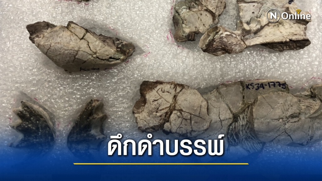 เล็งพัฒนาภูน้อยแหล่งค้นพบซากดึกดำบรรพ์ปลาปอดชนิดใหม่ของโลก