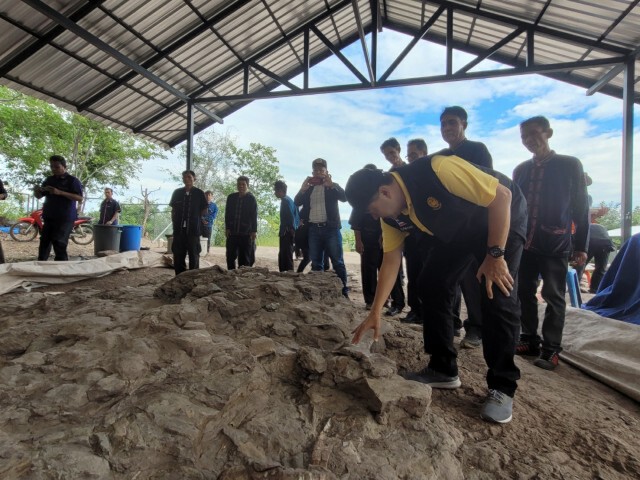 เล็งพัฒนาภูน้อยแหล่งค้นพบซากดึกดำบรรพ์ปลาปอดชนิดใหม่ของโลก